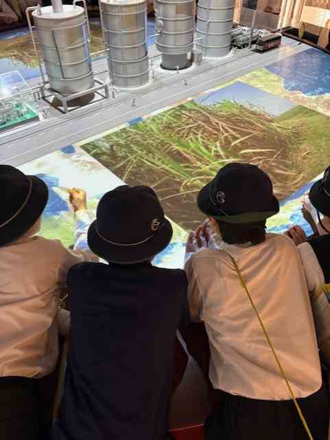 49f33c7a-d649-4bfc-95e6-2ff3f0d4c963