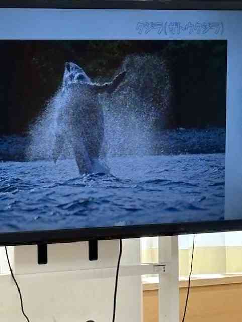 dc0db5a2-6031-419f-a472-4d1ad720cae6