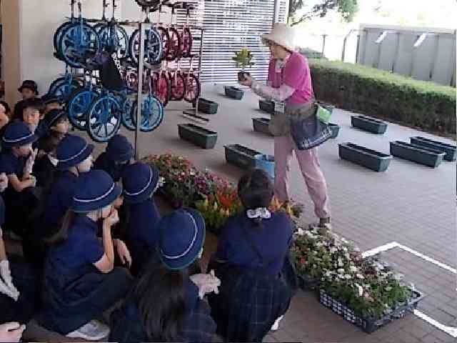 DSCN3748 コピー