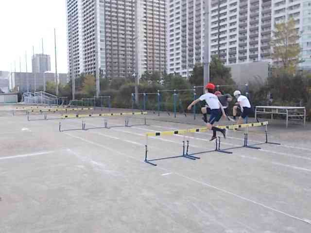 DSCN6133